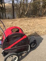 dog stroller outside