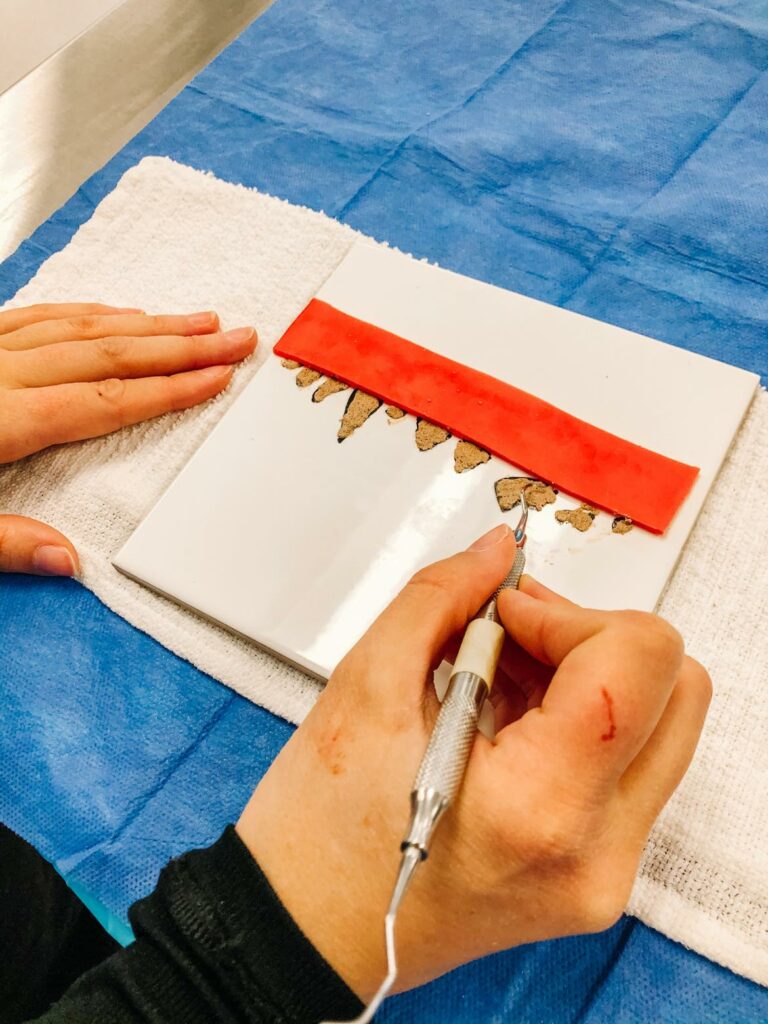 dentistry lab scaling fake teeth on tile 